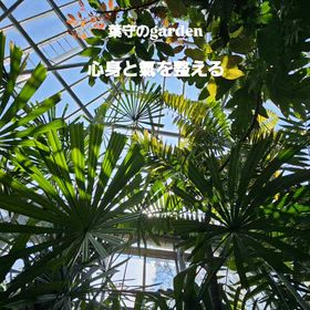 心と身体を整えると氣が調整できるの画像