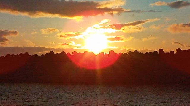 夕暮れの空に海鳥たちが風に乗ってゆっくりと円を描いていたの記事動画