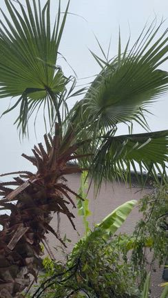 追記あり:台風6号を迎えるに当たって(+Mov.)の記事動画