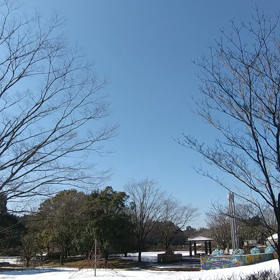 気まぐれに詩吟 ８回目 「降りながら」の画像