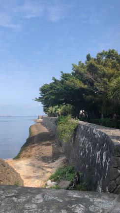 沖縄の記事動画