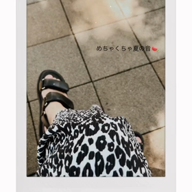 動画ものせられる！の画像