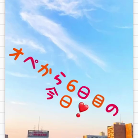 膝の画像