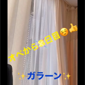 膝の画像
