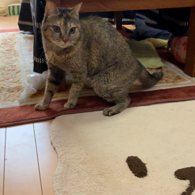 進まないでの画像