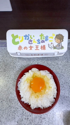 おはようございますの記事動画