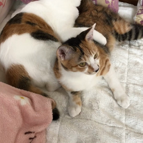 日々の画像