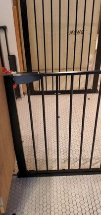 トリミングで大興奮すーちゃんの記事動画