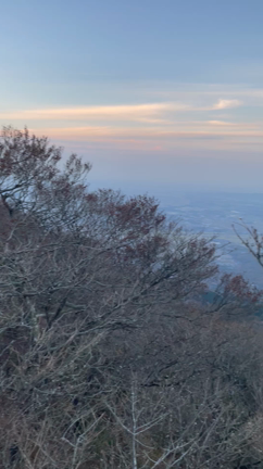 筑波山でも寒暖差アレルギー。の記事動画