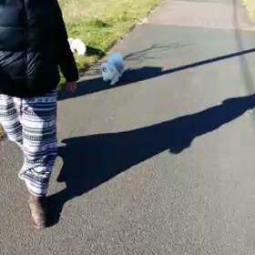 2ペキでの初散歩の画像