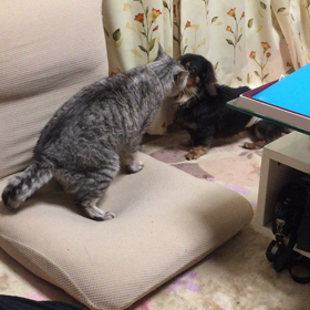 battle?の画像