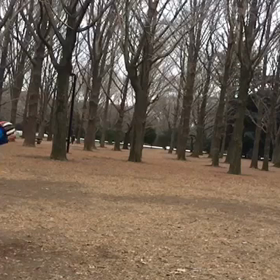 野球を少々の画像