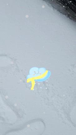 大雪警報(--;)の記事動画