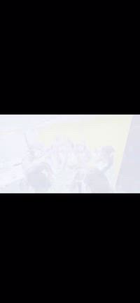 あみんぐ生誕祭2024の記事動画