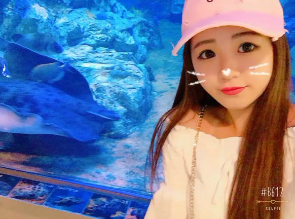 水族館の記事動画