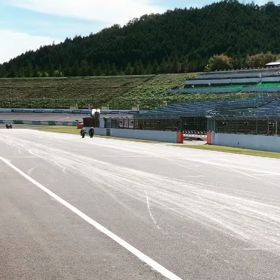 走って走って(つω`*)の画像