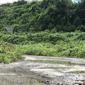 カンナム ライカー 楽しすぎるの画像