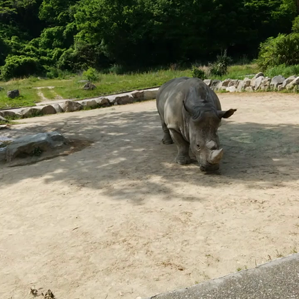 姫路セントラルパークの記事動画