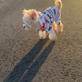 今日のお2人❣️の画像