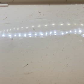 浮上最短記録の画像