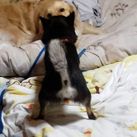 静かにやってた(笑)の画像