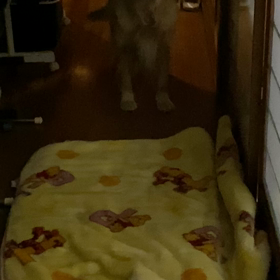 どうした？の画像