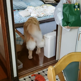 雷来たぁ((( ；ﾟДﾟ)))の画像