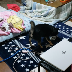 こんなこともあるんだ。の画像