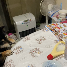 取れない！！の画像