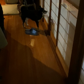 昨日の夜。と、今度は目ですか（笑）の画像