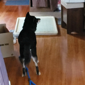 ちょっと笑えたの画像