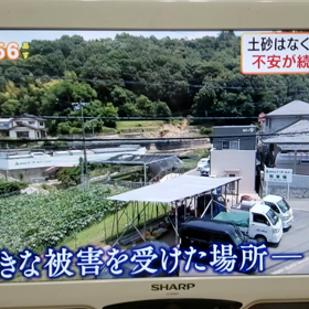 きなこを探せの巻の画像