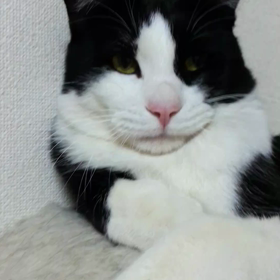 愛情の温度差？の画像