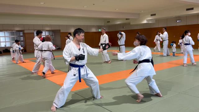 1月19日（日）稽古②打ち込み＆蹴りの記事動画