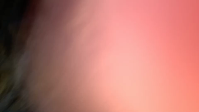 激写！の記事動画