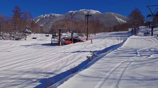 平日休み最高の巻の記事動画