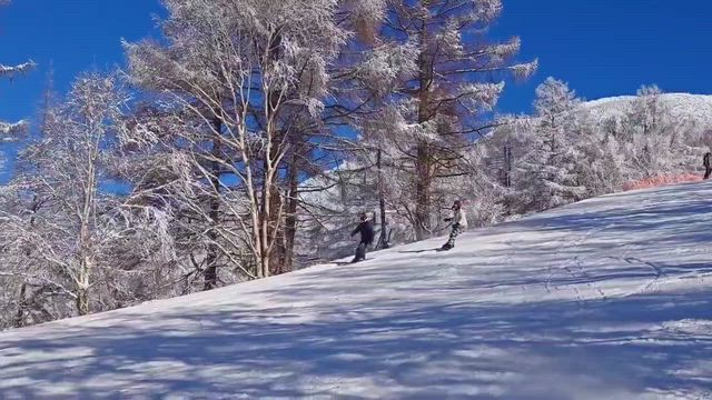 2026シーズン初滑りの記事動画