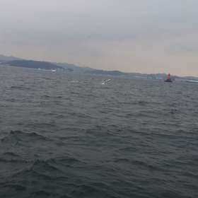 ２８日(月)イシモチの画像