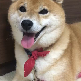 もっと、明るく前向きで、生きますよの画像