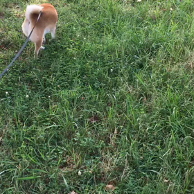 いよいよ、外泊ですの画像