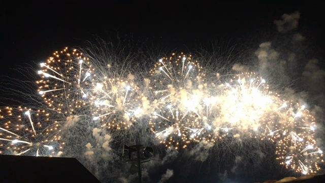 平成最後の夏 8月前半 〜花火の仕事がしたい！〜の記事動画