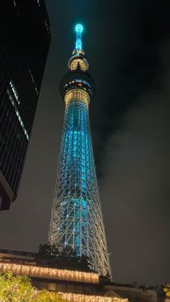 スカイツリー夜景とサクッとご飯の記事動画