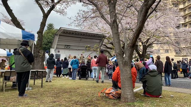 4/11画像追加　横田基地　Sakura Festivalの投稿です。の記事動画