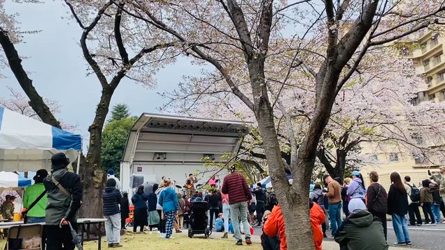 4/11画像追加　横田基地　Sakura Festivalの投稿です。の記事動画