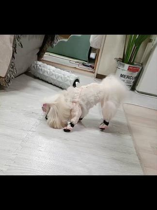 ♡ 固まる子とロボットの子 9(^Д^)ﾌﾟｷﾞｬｰ  ♡の記事動画