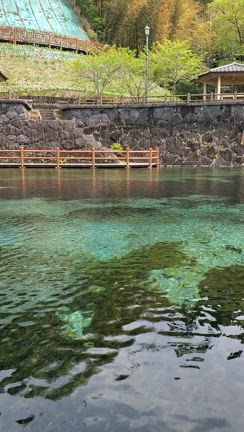 霧島アートの森から丸池湧水♪の記事動画