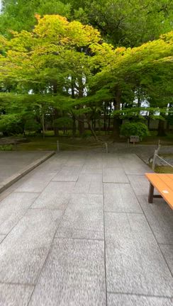 【リトリート】2024年は京都に来ています。の記事動画