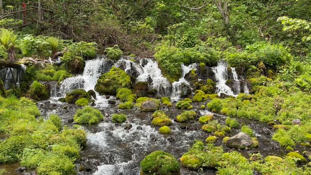 札幌プチ旅行・羊蹄湧水と支笏湖とエスコンフィールド☆の記事動画