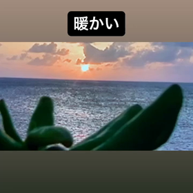 暖かく気持ちいいの画像