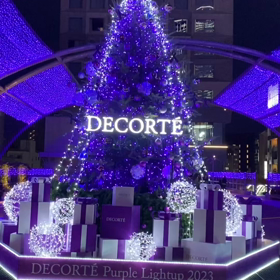 パープルイルミネーションの画像